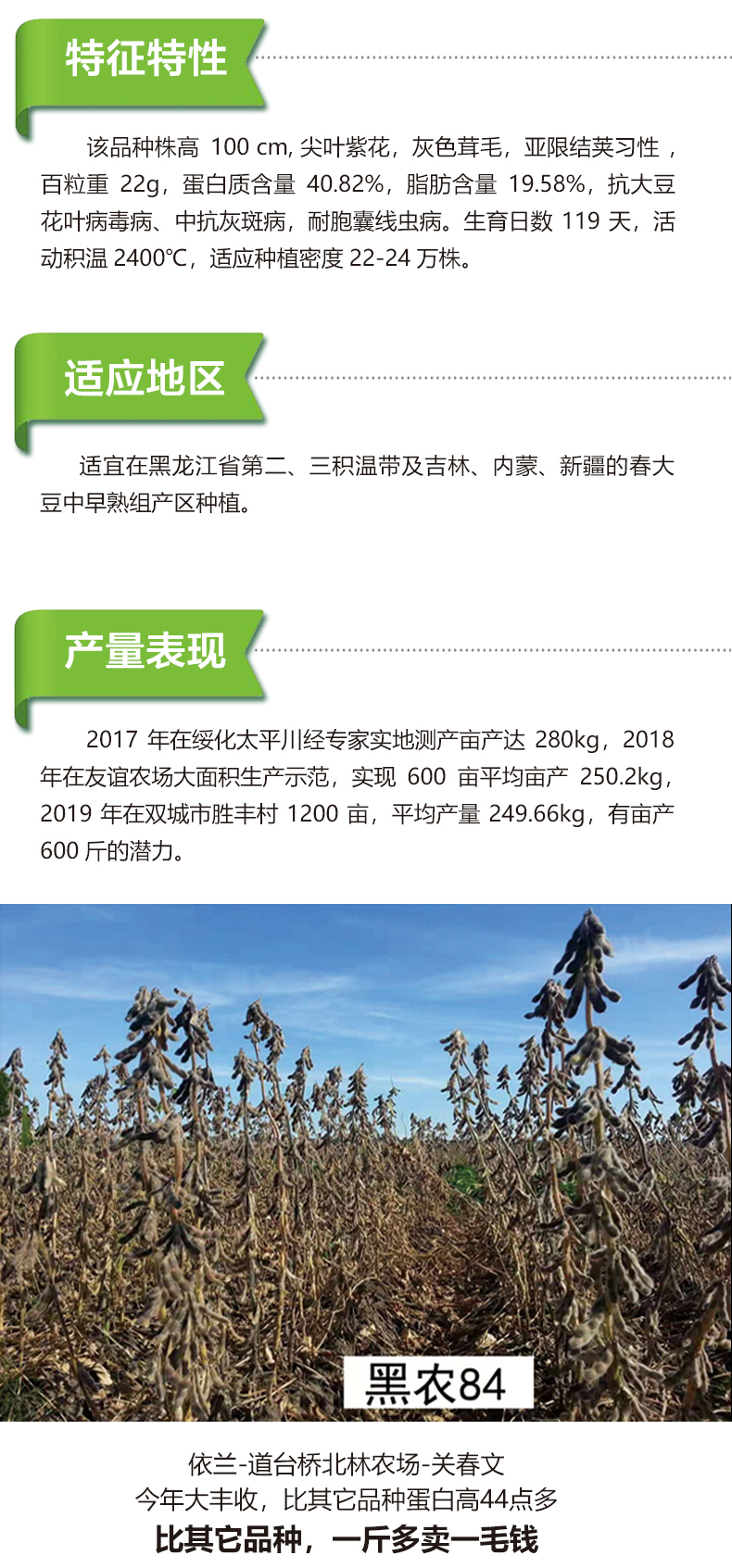 1590127992929599.jpg 黑农84产品详情_02.jpg