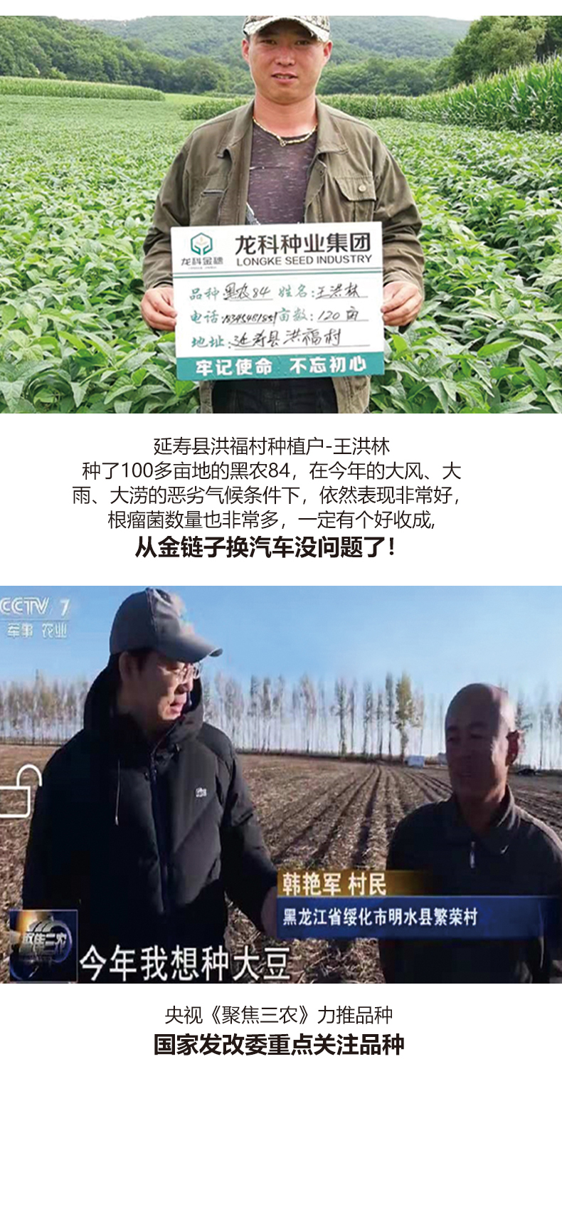 1590128002715784.jpg 黑农84产品详情_03.jpg